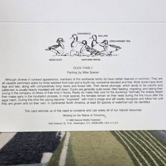 🪿Duck Family Blank Cards By Mike Speiser National Wildlife Federation 1988 Vtg - Picture 4 of 8